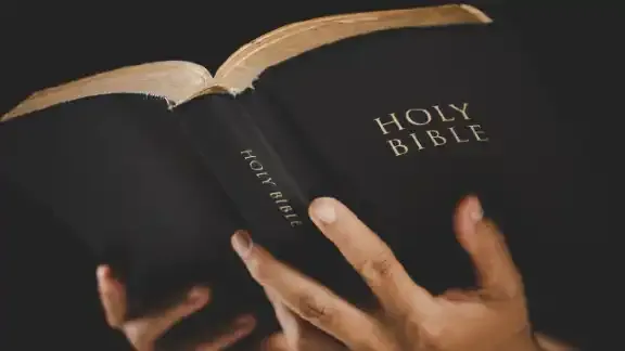 Holy Bible preview